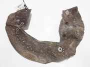 Spritzblech für Bremsscheibe - Vorne Linke BMW 7-Series, E65 E66 E67 E68 2001.11 - 2008.06 Gebraucht,