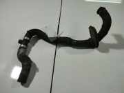 Kühlerschlauch Audi A6, C6 2005.01 - 2008.10 Gebraucht ,