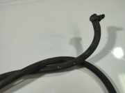 K?hlerschlauch Skoda Roomster, I 2006.01 - 2010.05 Gebraucht,