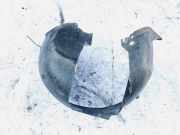 Radhausschale - Vorne Linke Volvo S60, 2000.01 - 2005.01 8648173,