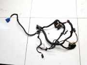 Kabelbaum Ford Kuga, III 2024 - 2026 facelift sv4t14305,sv4t-14305