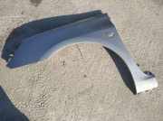Kotflügel - Vorne Linke Peugeot 307, 2000.08 - 2005.06 pilkas,