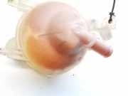 Ausgleichsbeh?lter Citroen C4, I 2004.11 - 2008.06 Gebraucht,