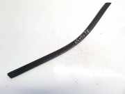 Zierleiste Leiste - Vorne Rechts Citroen C4 Grand Picasso, I 2006.01 - 2013.06 Gebraucht,