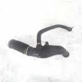 Schlauch für Luftversorgung Lancia Phedra 2002 - 2006 1485369680,