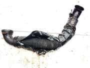 Schlauch für Luftversorgung Citroen Xsara, I 2000.09 - 2005.03 facelift 9636838280,