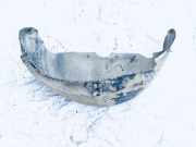 Radhausschale - Hinten Rechts Volkswagen Sharan, 7M 1995.09 - 2000.04 7m0810972,95vw278b50
