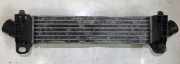 Ladeluftkühler Ford Mondeo, 2000.11 - 2007.03 is7q9l440ad, is7q-9l440-ad 868963a