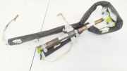 Sicherheitsmodul Seitenverkleidung Renault Laguna, III 2007.10 - 2010.11 Gebraucht ,