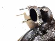 Ansaugkrümmer Hyundai Santa Fe, 2006.03 - 2012.09 Gebraucht,