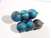 Druckspeicher Audi A8, D3 2002.09 - 2005.6 443131541,