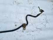 Stabilisator Vorne Peugeot 207, 2006.02 - 2009.06 Gebraucht,