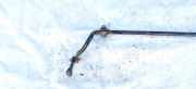 Stabilisator Vorne Audi A4, B5 1994.11 - 1999.09 Gebraucht,