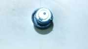 Spannrolle Zahnriemen Land-Rover Discovery, 2004.07 - 2009.09 Gebraucht ,