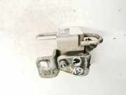 Türscharnier Hinten Volkswagen Golf, V 2003.10 - 2008.10 Gebraucht, CAX