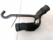 Schlauch für Luftversorgung Renault Scenic, I 1996.01 - 1999.09 7700866642,