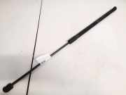 Gasdruckfeder Kofferraum Opel Corsa, D 2006.07 - 2010.06 13182537,