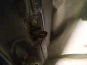 Türfangband Türbremse Türstopper - Hinten Rechts SAAB 9-3, 1998.02 - 2002.09 Gebraucht,