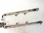 Kraftstoffverteiler Hyundai Santa Fe, 2006.03 - 2012.09 Gebraucht,