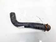 Kühlerschlauch Kia Sorento, II 2009.06 - 2012 Gebraucht,