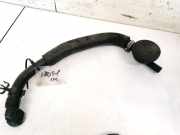 Kühlerschlauch Nissan Primera, P12 2002.01 - 2008.12 Gebraucht,