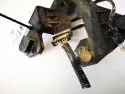 Lampenträger Heckleuchte - Hinten Audi A4, B5 1994.11 - 1999.09 Gebraucht,