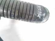 Schlauch für Luftversorgung Volkswagen Passat, B5 1996.08 - 2000.11 8d0129615f,