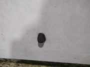 Waschwasserd?se Scheibenreinigung Opel Agila B 2008 - 2014 Gebraucht,