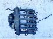 Ansaugkrümmer Chevrolet Epica, 2006.01 - 2011.12 96307782,s10009001
