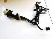 Kabelbaum Citroen DS3, I 2009.01 - 2016.06 9689004180,