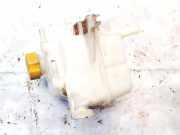 Ausgleichsbeh?lter Chevrolet Captiva, 2006.01 - 2011.06 96837836,