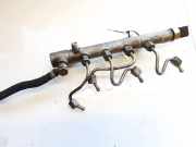 Kraftstoffverteiler Mercedes-Benz W212, 2009.01 - 2016.06 a6510700495,r9144z240a