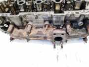 Abgaskrümmer Citroen C4 Picasso, I 2006.01 - 2013.06 Gebraucht,