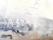 Radhausschale - Hinten Linke Rover 25, 2001.06 - 2005.05 facelift clf101610,