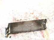Ladeluftkühler Renault Scenic, II 2003.06 - 2006.06 8200115540a, 160130200f01