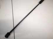 Gasdruckfeder Kofferraum Volkswagen Passat, B6 2005.08 - 2010.11 Gebraucht, BMP