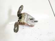 T?rscharnier Vorne Renault Laguna, II 2001.03 - 2006.05 Gebraucht,