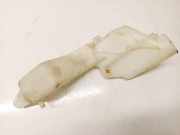 Scheibenwaschbehälter Vorne Wischwasserbehälter Jaguar X-Type, 2001.06 - 2007.11 1x4313k175ad,