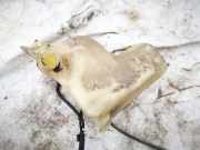 Scheibenwaschbehälter Vorne Wischwasserbehälter SAAB 9-3, 1998.02 - 2002.09 Gebraucht,