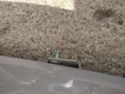 Lang Heckklappe Scharniere Scharnier - Hinten Rechts Ford Focus, 2011.04 - 2018 Gebraucht,