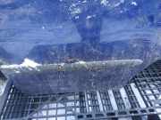 Zierleiste Tür Zier-Schutzleiste - Hinten Linke Seat Cordoba II 2002.06 - 2009.12 Gebraucht,