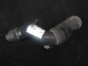 Schlauch für Luftversorgung Renault Megane, I 1995.11 - 1999.02 7700866642,