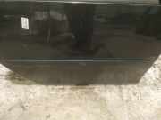 Zierleiste Tür Zier-Schutzleiste - Hinten Rechts Skoda Roomster, I 2006.01 - 2010.05 Gebraucht,