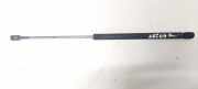 Gasdruckfeder Kofferraum Ford Focus, 2002.10 - 2005.01 facelift XS41N406A10AJ,XS41N406A10AJ 6628PO0450N