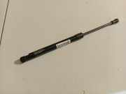 Gasfeder für Motorhaube Citroen C5, II 2008.02 - 2011.01 90941450N, 90941 450N 1196082