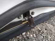 T?rfangband T?rbremse T?rstopper - Hinten Rechts Lexus GS, III 2005.06 - 2007.06 Gebraucht,