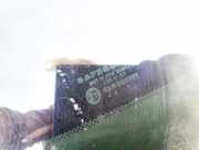 Seitenfenster Seitenscheibe - Hinten Rechts Chrysler 300C, I 2005.01 - 2010.06 Gebraucht,