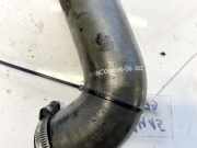 Schlauch für Luftversorgung Renault Scenic, II 2003.06 - 2006.06 manc0089606, manc00896-06 3005