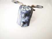 T?rscharnier Hinten Renault Laguna, II 2001.03 - 2006.05 Gebraucht,