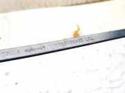 Windschutzscheibe Scheibenwischer Ford Fiesta, IV 2000.06 - 2002.06 facelift 97fg17526a2c,